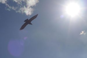 5 ways a creative outlet can help your life