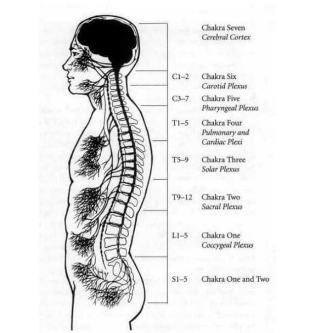 The Actors Instrument — Introduction
